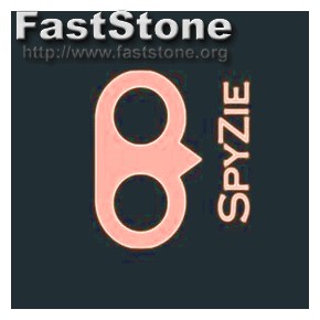 Avis Application Spyzie